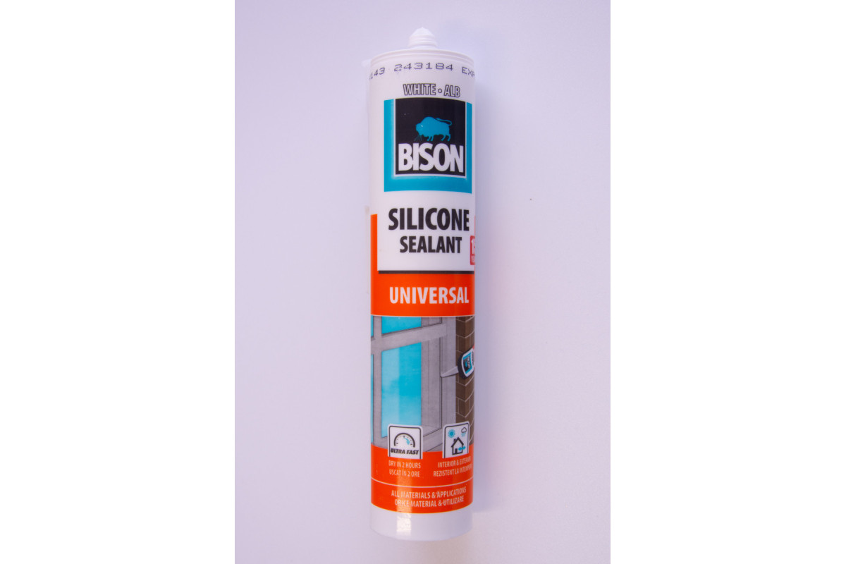 SILICON BISON UNIV ALB