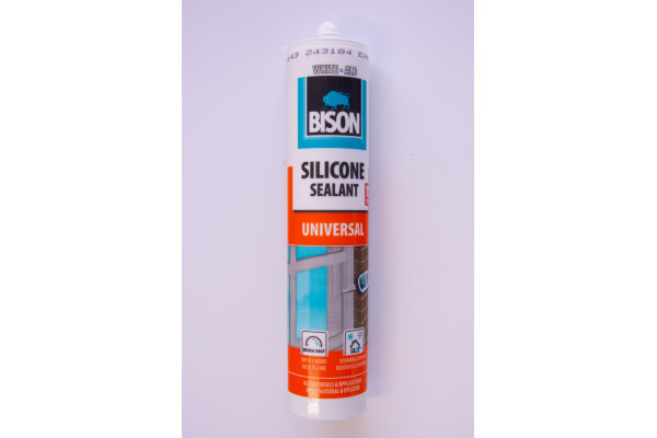SILICON BISON UNIV ALB